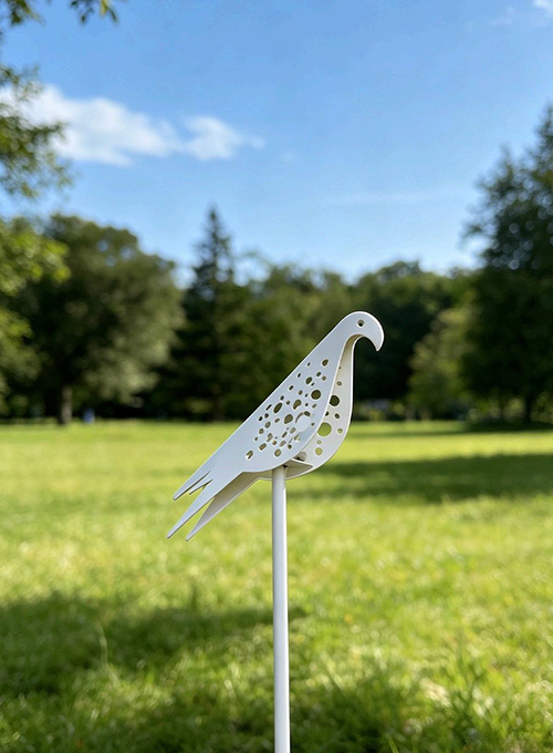 Outdoor Solar lights